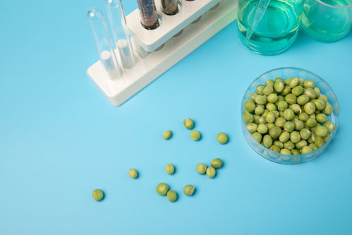 嫩豌豆食品安全農(nóng)業(yè)科技食品培育攝影圖 插畫 下載至來(lái)源處