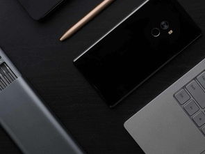 機身材質(zhì)大觀 投影穿的都是什么衣服