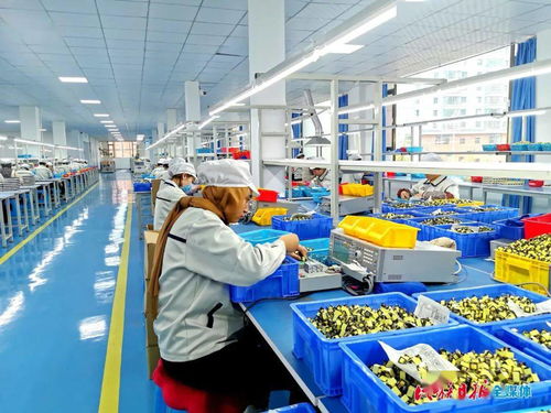 快訊 臨夏州第一家電子廠 科司特 在康樂縣生產步入正軌